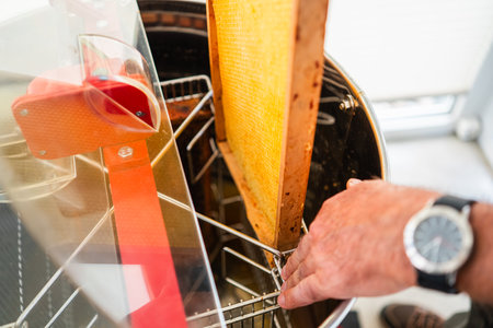 Beehive Frame with Honeycombs Placed in a Centrifucal Bee Honey Extractorの写真素材