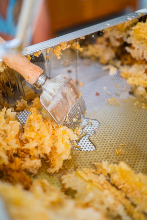 Capping Scratcher Close Up in a Metal Tray with Beewax and Bee Honeyの写真素材
