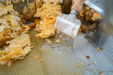 Capping Scratcher in a Metal Decapping Tray with Beewax and Honeyの写真素材