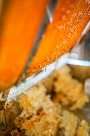 Viscouse Bee Honey Dripping Down Honeycomb Cells from a Beehive Into a Tray with Beewax Close Upの写真素材