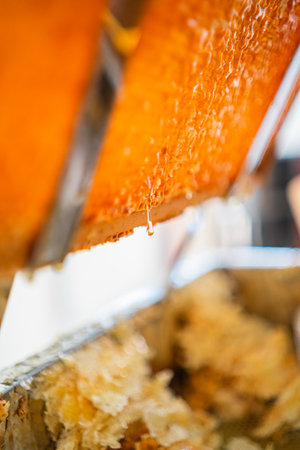 Golden Honey Drop Dripping Down Honeycombs from a Beehive Close Upの写真素材