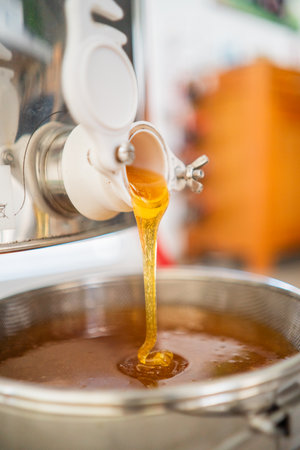 Fresh Beekeeping Honey Flowing Out of a Barrel Into the Sieve for Filtration Close Upの写真素材