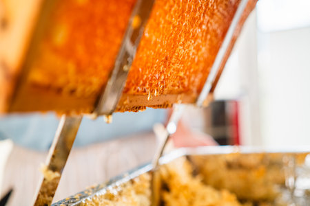 Delicious and Tasty Bee Honey Dripping and Running Down the Honeycombsの写真素材