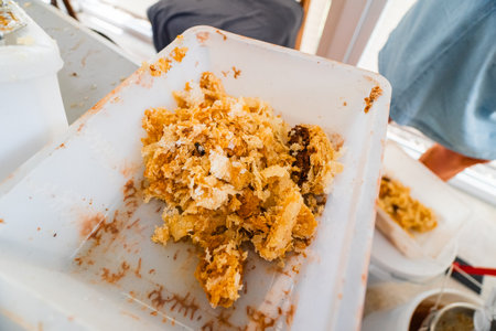 Honeycomb Beewax Collected in a White Plastic Box as Foodの写真素材