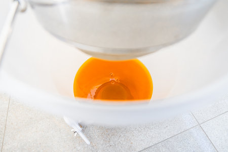 Fresh Honey Dripping Into a White Bucket After Harvesting the Honey from its Beehiveの写真素材