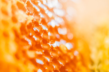 Glossy Sweet Bee Honey Spilling and Flowing Out of Honeycomb Cells Close Upの写真素材