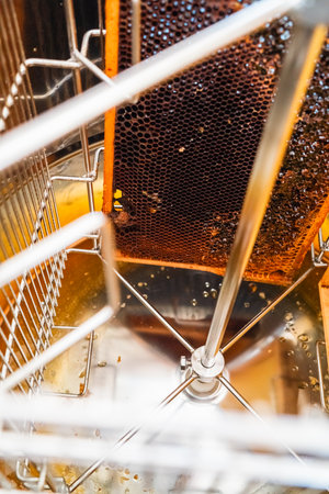 Beehive Frame with Honeycombs and Golden Bee Honey Inside a Centrifucal Extractor During Beekeeping Harvestの写真素材