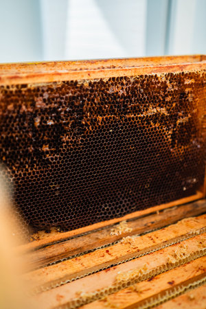 Dark Honeycomb Cells in a Wooden Beehive of a Beekeeper