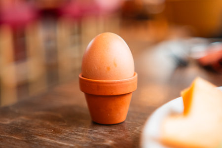 Egg with a Dark Egg Shell in a Small Flower Pot Egg Cupの写真素材