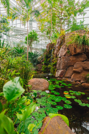 Pond With Water Lilies in Ecological Biotope Garden Building With Rocks and a Waterfall in Tropical Jungle Environment in Portrait Imageの写真素材