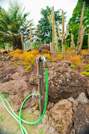 Garden Water Tap With Hose for Gardening and Hosing the Plants and Flowers in an Ecological Environment in Portrait Imageの写真素材