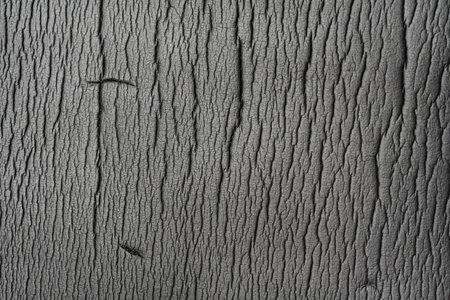 Soft Dark Wrinkle Rubber Texture Mattの写真素材