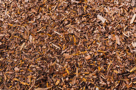 Brown Bark Mulch Texture in the Forest of the Woodsの写真素材