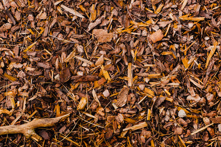 Brown Fresh Bark Mulch Texture in the Forest of the Woodsの写真素材