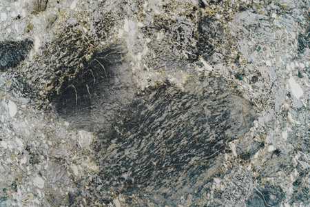 Gray Marble Stone Texture with Patterns and Structuresの写真素材