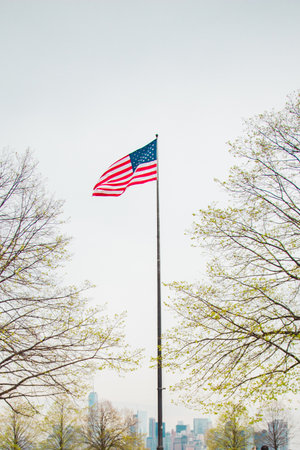 American Flag on a Flagpole Waving Between Trees in New York Cityの写真素材