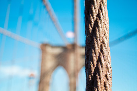 Cable of the Suspension Brooklyn Bridge in New York City Close-Upの写真素材