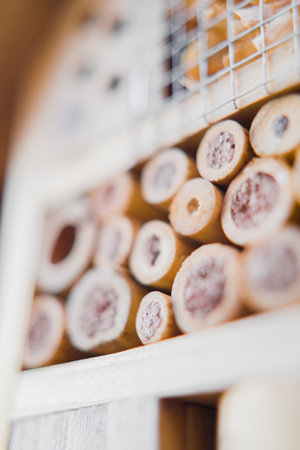 Wooden Bee Hotel in Extreme Close-Upの写真素材