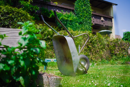 Wheelbarrow on a Garden Lawn Near a Green Bush Ready for Work on a Got Sunny Summer Dayの写真素材