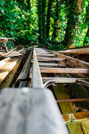 Dirt Stepladder in an Overgrown Forest Close-Upの写真素材