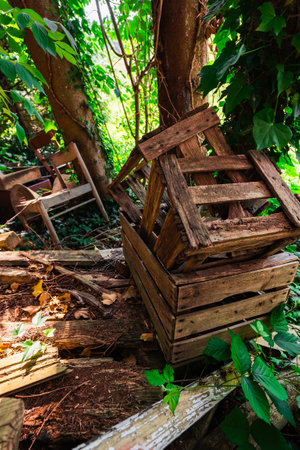 Leftover Landfill of Rotten Wooden Furniture in a Forest Thrown Away and Abandoned in a Natural Environment Littering Natureの写真素材