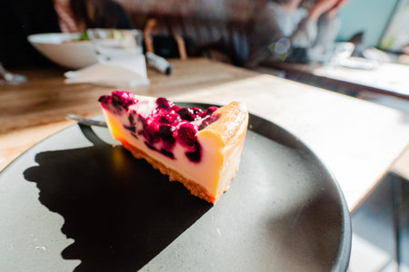Slice of Blueberry Cheesecake in the Sunlight
