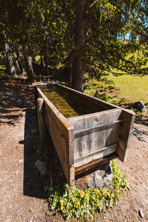 Water Trough on a Pasture Field for the Free Farm Animals Lifestock on a Hot Sunny Summer Day in the Swiss Alpsの写真素材