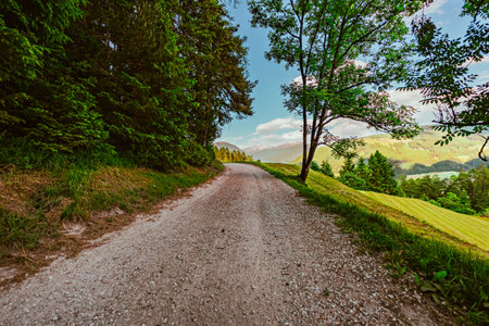 Stony Hiking Trail in the Mountain Landscapeの写真素材