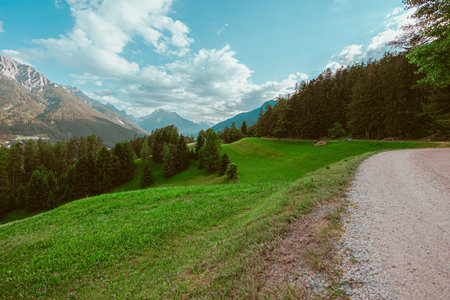 Beautiful Green Pasture Hillside near a Forest in the Mountain Landscapeの写真素材