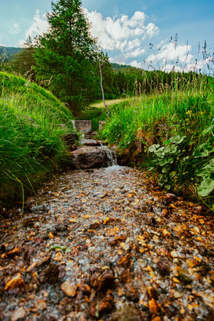 Brook Creek Water Stream Flowing Down the Mountain between a Pasture Fieldの写真素材