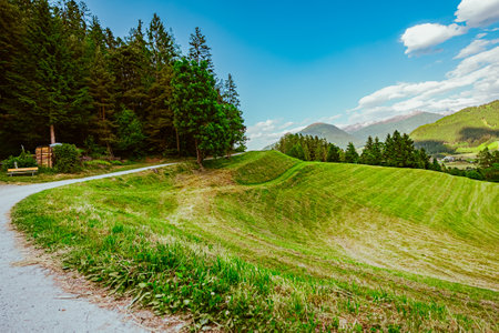 Beautiful Green Mowed Hillside Pasture Field near a Hiking Pathの写真素材