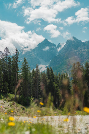 Mountain Path in the Black Forest at Alpine Landscape View