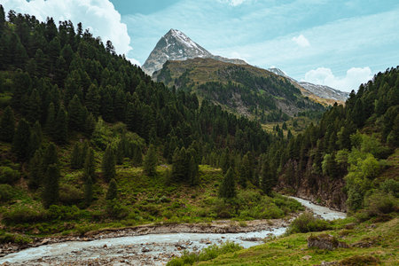 Majestic Alpine Mountain with Snow in Nature Landscape With a Forest of Conifers Pierced by a River in the Background on a Beautiful Sunny Summer Dayの写真素材