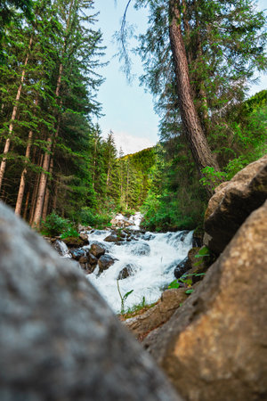 Raging Water in Nature's Black Forest Between Trees and Stones Bursting Down the River Bed Through Rocksの写真素材