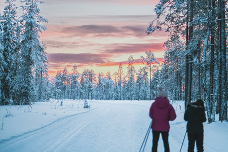 Cross-Country Skis Slidign Through the Snow Track in the Forest During Beautiful Sunset in Cold Nordic Winterの写真素材