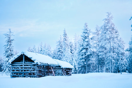 Quiet Winter Forest Environment with Two Firewood Storage Cabins on a Nordic Winter Eveningの写真素材