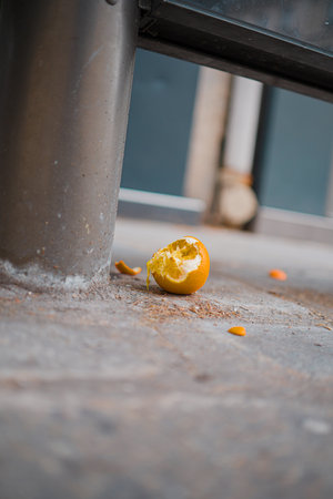 Wasted Orange Fruit with Peeled Skin Lying on the Concrete Floor in the Cityの写真素材