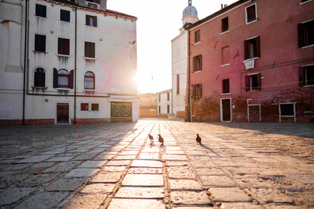 A peaceful Venice morning with pigeons in a sunlit square, featuring historic architecture and warm lighting. The scene captures the calm and timeless beauty of Venetian life.の写真素材