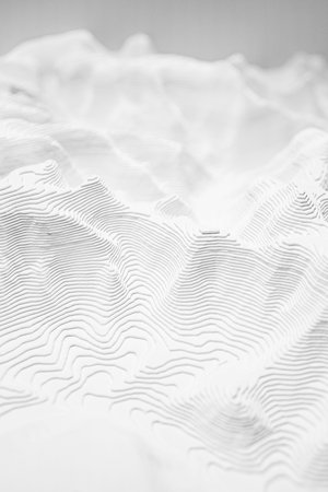 Monochrome artwork inspired by topographic maps, featuring intricate contour lines creating an...