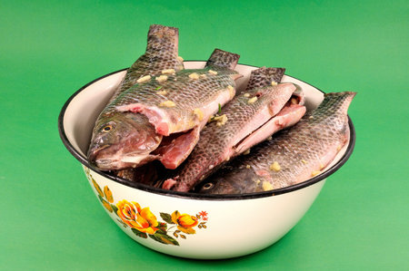 Fresh clean the fish with slices of garlic in a bowlの写真素材