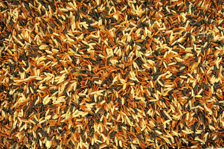 Photograph of the sample of rice spilled on the tray of rectangular shape の写真素材