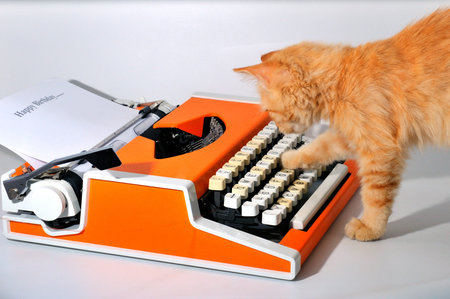Little curious, ginger kitten playing with a machine for printing