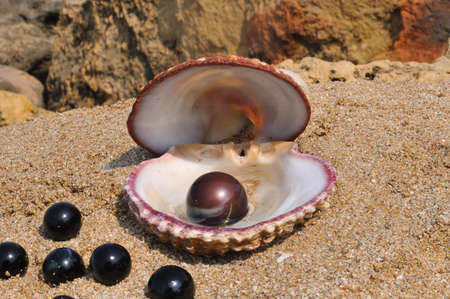 Seashell lay on the sand and a black ball inside the glassand close by are a few small black ballsの写真素材
