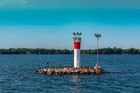 Cormorants occupied a small island with an installed signal buoyの写真素材