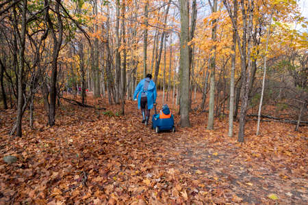 A trip to the autumn grove for the little ones childrenの写真素材