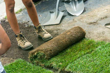 Workers roll out bales of new grass on a prepared plot of landの写真素材