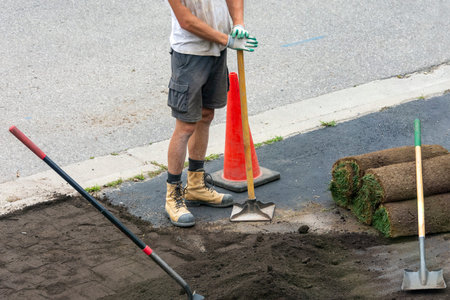 Preparing an area with filled, moist soil and compaction of the soil for planting new grass