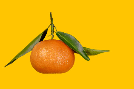 Beautiful, ripe, sweet tangerine with green leaves on a yellow backgroundの写真素材
