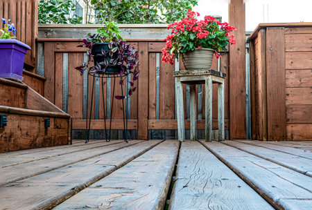 A platform in the forest, strewn with large round stones left over from a dry riverの写真素材