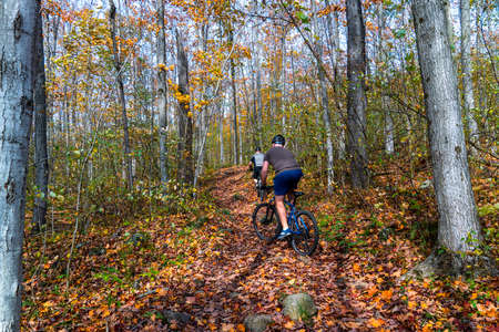 Two sports cyclists on mountain bikes ride on a forest path in the woodsの写真素材